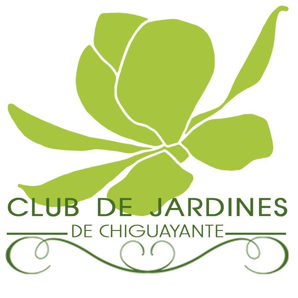 39 Club de Jardines de Chiguayante