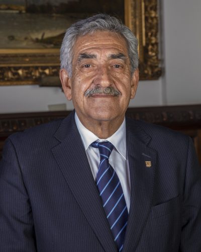 02 Alejandro Navarro Torres, Vicepresidente